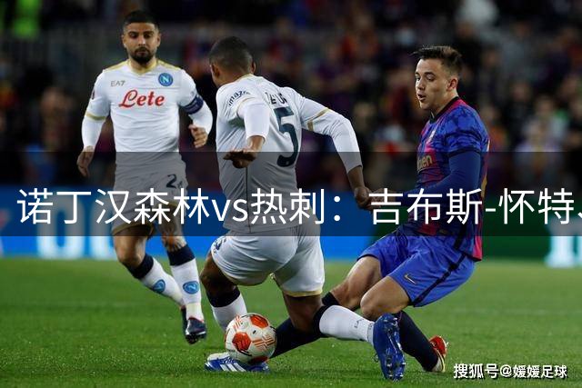 诺丁汉森林vs热刺：吉布斯-怀特、德拉普首发，托纳利、加拉格尔出战